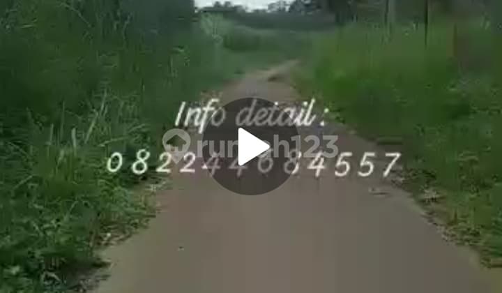 Quick Sale of Clove & Durian Plantation Land in Tumpang Poros Jldesa
