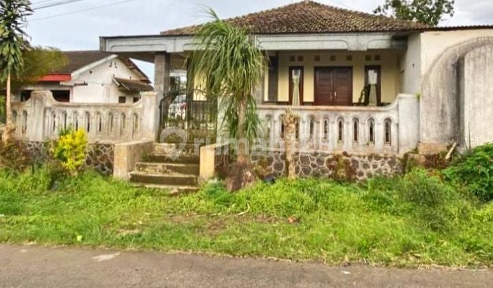 Dijual Cepat! Rumah Bagus Murah Poros Jln Strategis Di Pasuruan