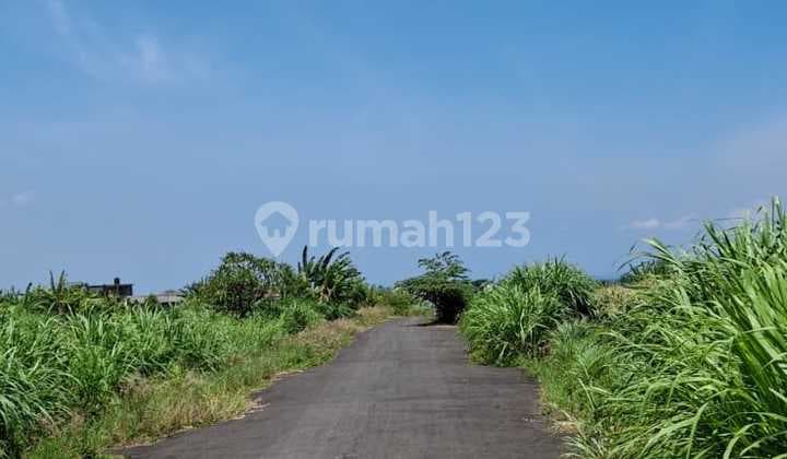 For Sale Rice Field with Beach View in Sanur Bali