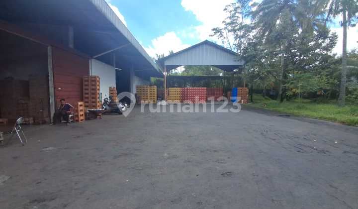 Dijual Tanah Bonus Gudang Zona Industri Mengwi Bali