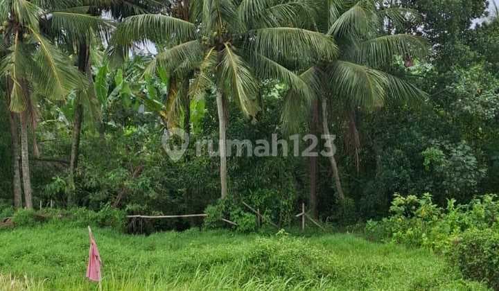 Disewakan Leasehold Tanah Zona Perumahan Dekat Ubud Bali