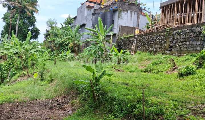 Dijual For Sale Tanah View Sungai Hutan Batubulan Bali