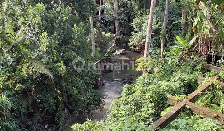 Dijual For Sale Tanah View Sawah Jalan Utama Singapadu Gianyar Bali