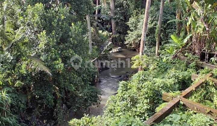 Dijual For Sale Tanah View Sawah Jalan Utama Singapadu Gianyar Bali