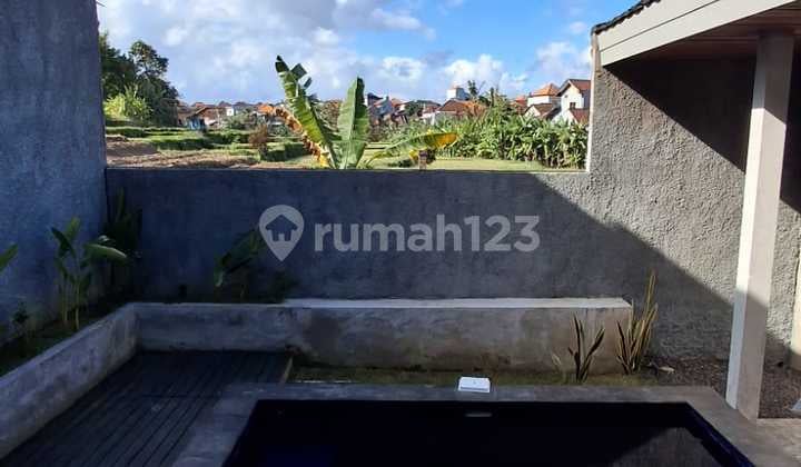 Take Over Lease of 20 Villas and Homestay Complex in Tibubeneng, North Kuta