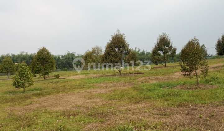 Dijual lahan Kebon Buah/ Wisata cocok untuk Investasi Argowisata