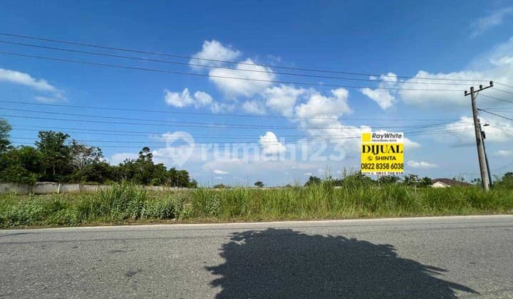Dijual Cepat Tanah Kosong, Lokasi Sudah Padat Penduduk