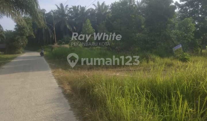 Dijual Tanah Strategis Di Pinggir Jalan Besar Lokasi Simpang Murini Dumai ( Riau )