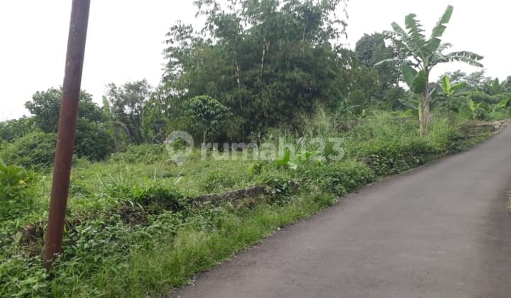 Wide 1500m² Cheap Land with Car Access in Tamansari, Ciapus, Bogor