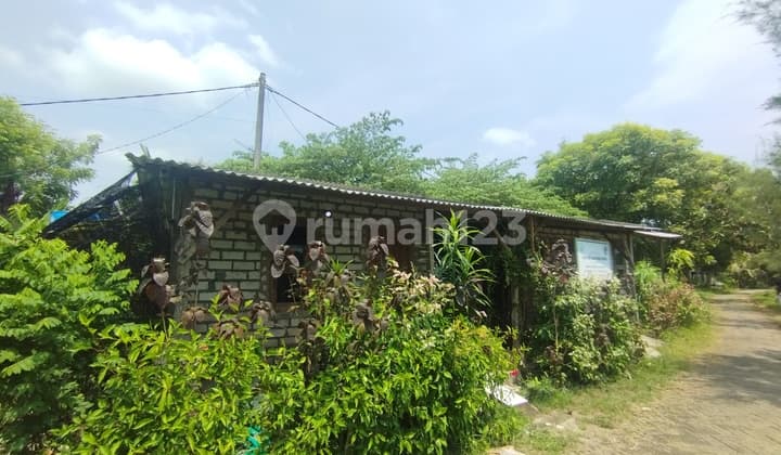 Tanah Jual Desa Ngemboh Ujung Pangkah Gresik Strategis