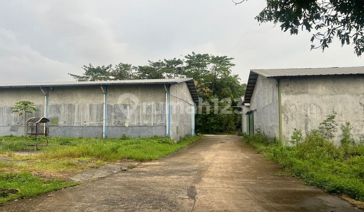 For Rent - Strategic Warehouse - Cicalengka Bandung
Ideal for Business, Distribution, or Large-Scale Storage. Easy Access & Ready to Use!
Available in Several Sizes:
- 4,224 M²
- 1,728 M²
- 1,008 M²
- 420 M²
Advantages:
✓ Container Access (Easy Entry for Large Trucks)
