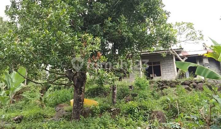 Kavling Murah Siap Bangun dan Lokasi Strategis @Buleleng, Bali