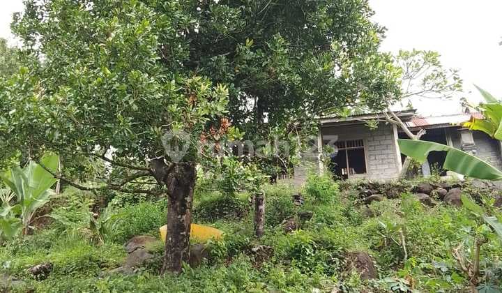 Kavling Murah Siap Bangun dan Lokasi Strategis @Buleleng, Bali