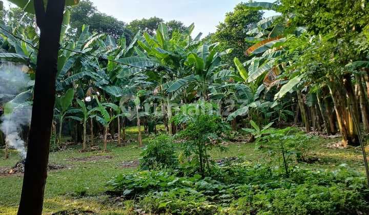 Kavling Luas Lokasi Strategis di Area Lebak Bulus