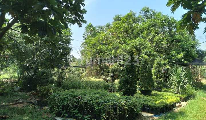 Tanah di Parung Bogor Luas 5000M