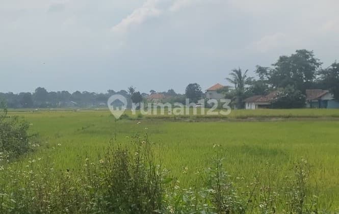 Tanah Luas 935M di Legok Tangerang