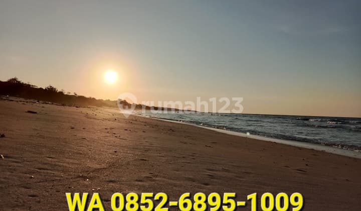 Tanah Sumba 30 Hektar Pinggir Pantai Kapulit