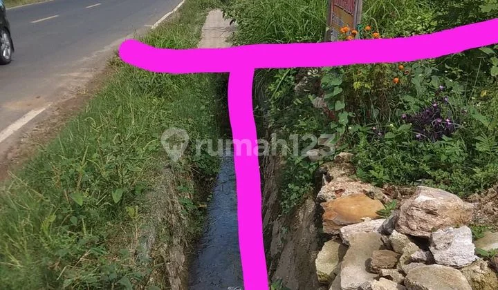 Samsat Pesawaran Tugu Coklat Pinggir jalan raya kurungan nyawa