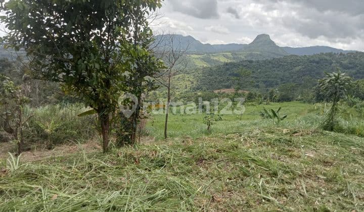 Tanah Investasi Bagus Jonggol Bogor Murah