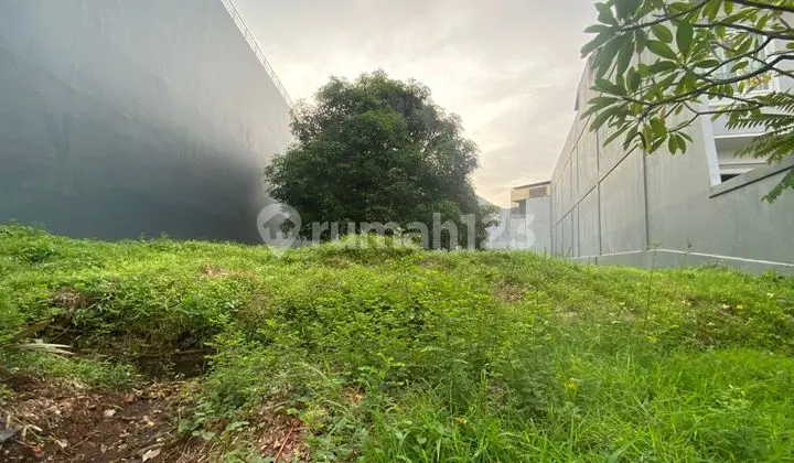 Rare Deal! Kavling Elang Laut 1.000 M² Murah