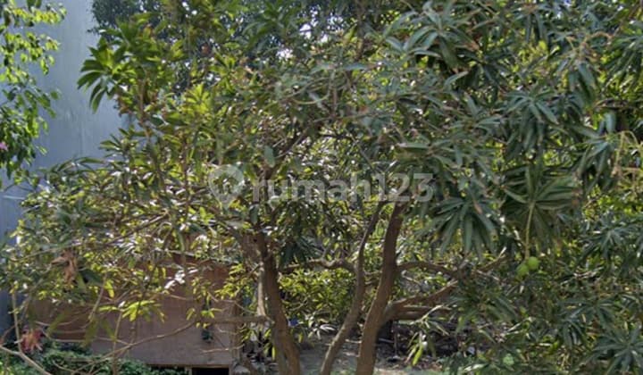 Kavling Langka dan Termurah di Katamaran Pik