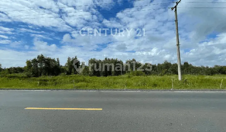 Tanah Komersil Lokasi Strategis di Kalimantan Selatan S9441