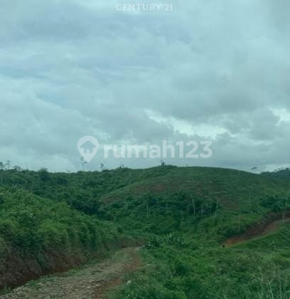 Plantation Land Suitable for Tourist Attractions in Cianjur S8539