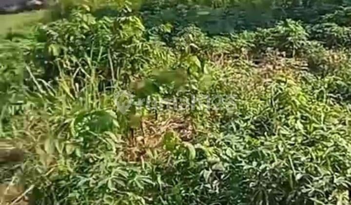 DIJUAL Tanah Pinggir Jalan!! di Gunung Sindur