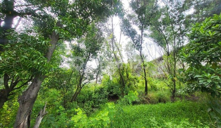 DIJUAL KAVLING LUAS 4ha!! di Cikande