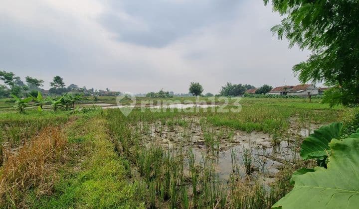 Dijual Tanah Luas 15ha!! Di Cikande Gabus