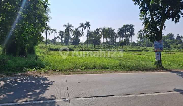 Dijual Tanah 10 Ha SHM Lokasi Desa Kutruk Tigaraksa