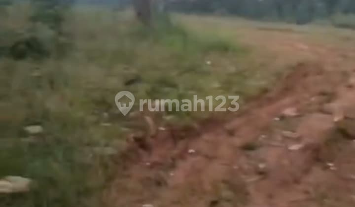 Dijual Kavling Parung Panjang Buat Cluster