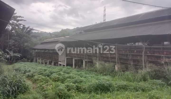 Jarang Ada!! Jual Tanah 11 Ha SHM Bonus Peternakan Ayam