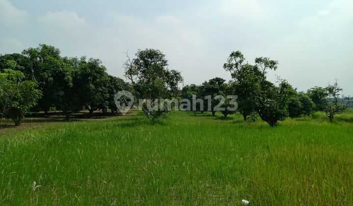 Dijual Lahan Kosong Zona Industri Pinggir Jalan Utama