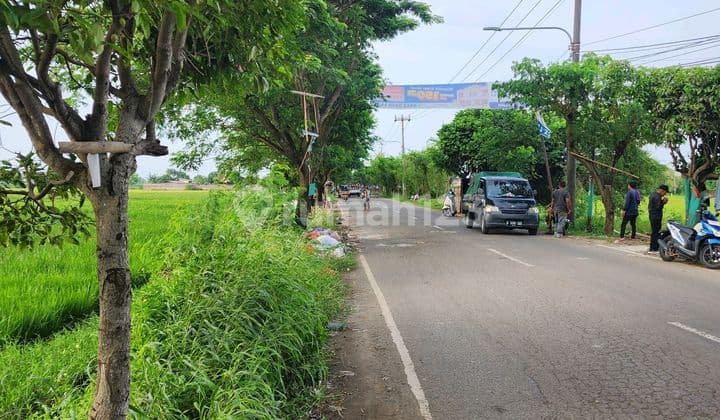 Tanah Di Pakuhaji Tangerang Cck Utk Gudang ,pabrik,perumahan