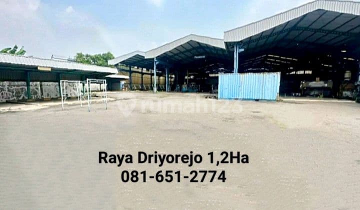 Pabrik Raya Driyorejo Gresik