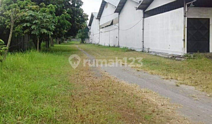 Warehouse Factory On Bypass Krian