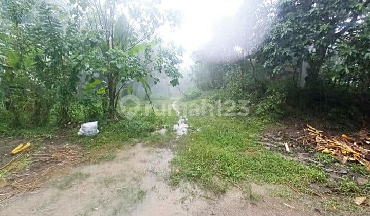 Tanah di Negara Bali