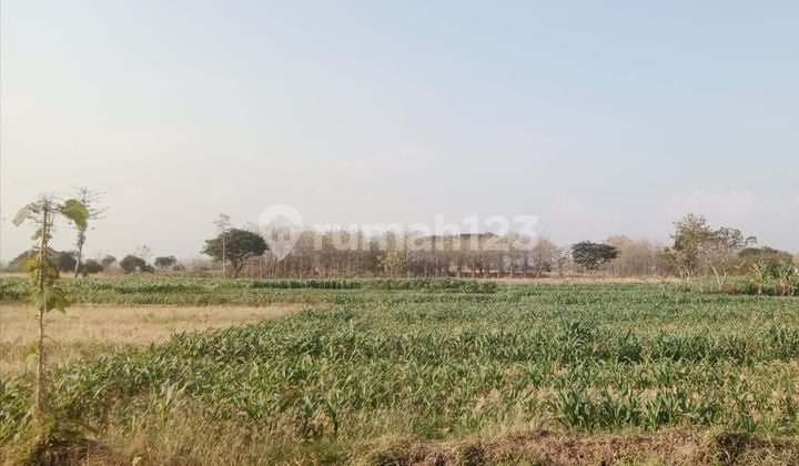 Tanah Industri Di Nganjuk.