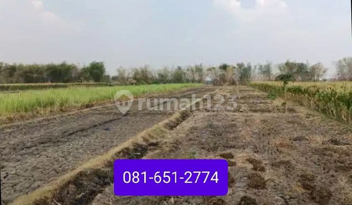 Tanah di Bypass Krian