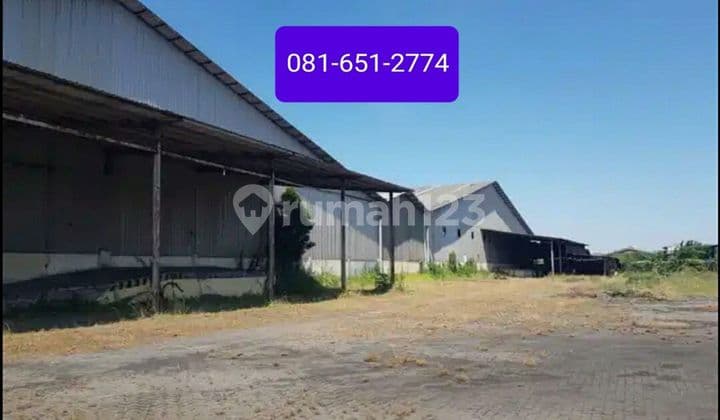 Warehouse in Margomulyo Surabaya.