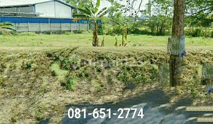 Land in Pandaan Pasuruan