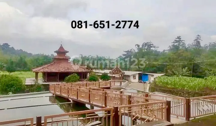 Tanah di Purwodadi Malang