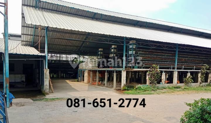 Kandang Ayam di Mojokerto