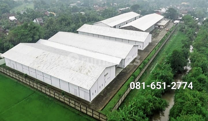 Warehouse Factory in Nganjuk