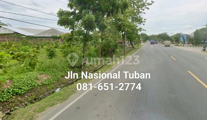 Industrial Land in Tuban
