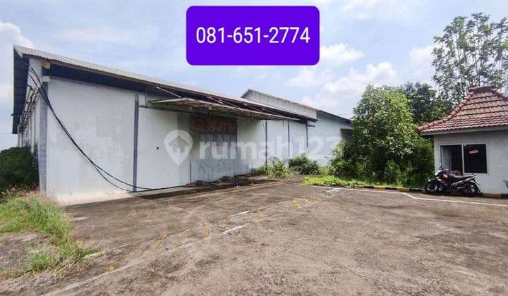 Warehouse in Cerme Gresik