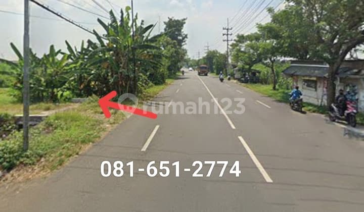 Tanah di Dlanggu Mojokerto