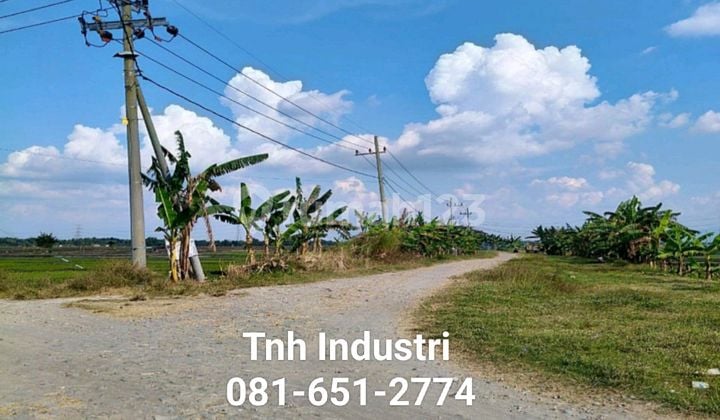 Tanah Industri Di Ngawi