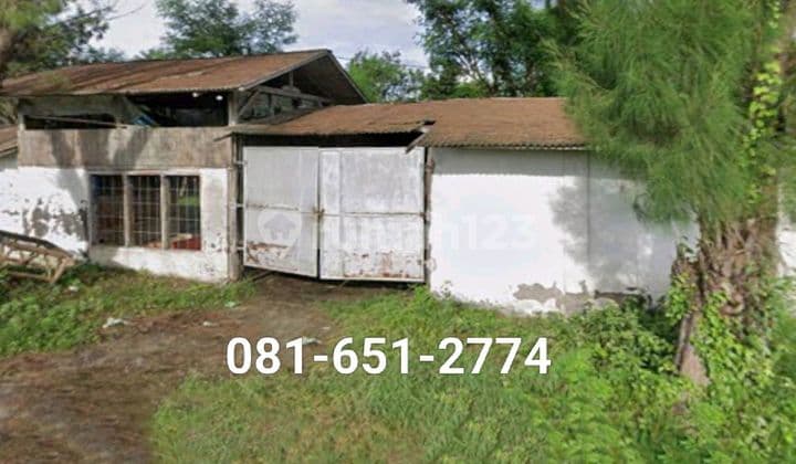 Kandang Ayam di Bangkalan Madura